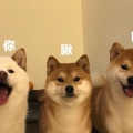 ҵ